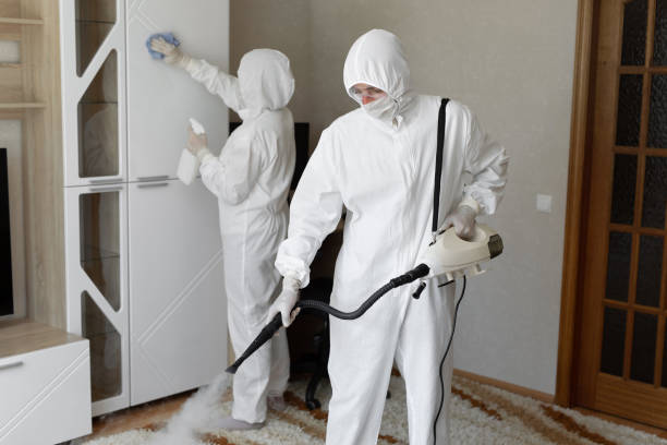 Best Certified Mold Removal  in Howard City, MI