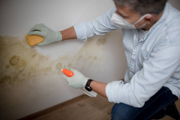 Water Damage Restoration in Howard City, MI