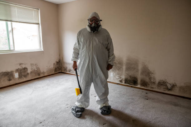 Best Crawl Space Mold Removal  in Howard City, MI